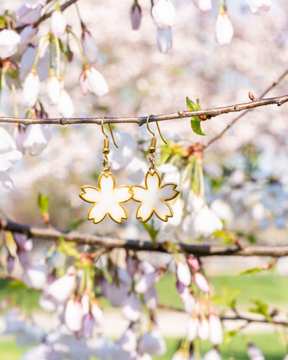 Yamazakura (White Sakura)