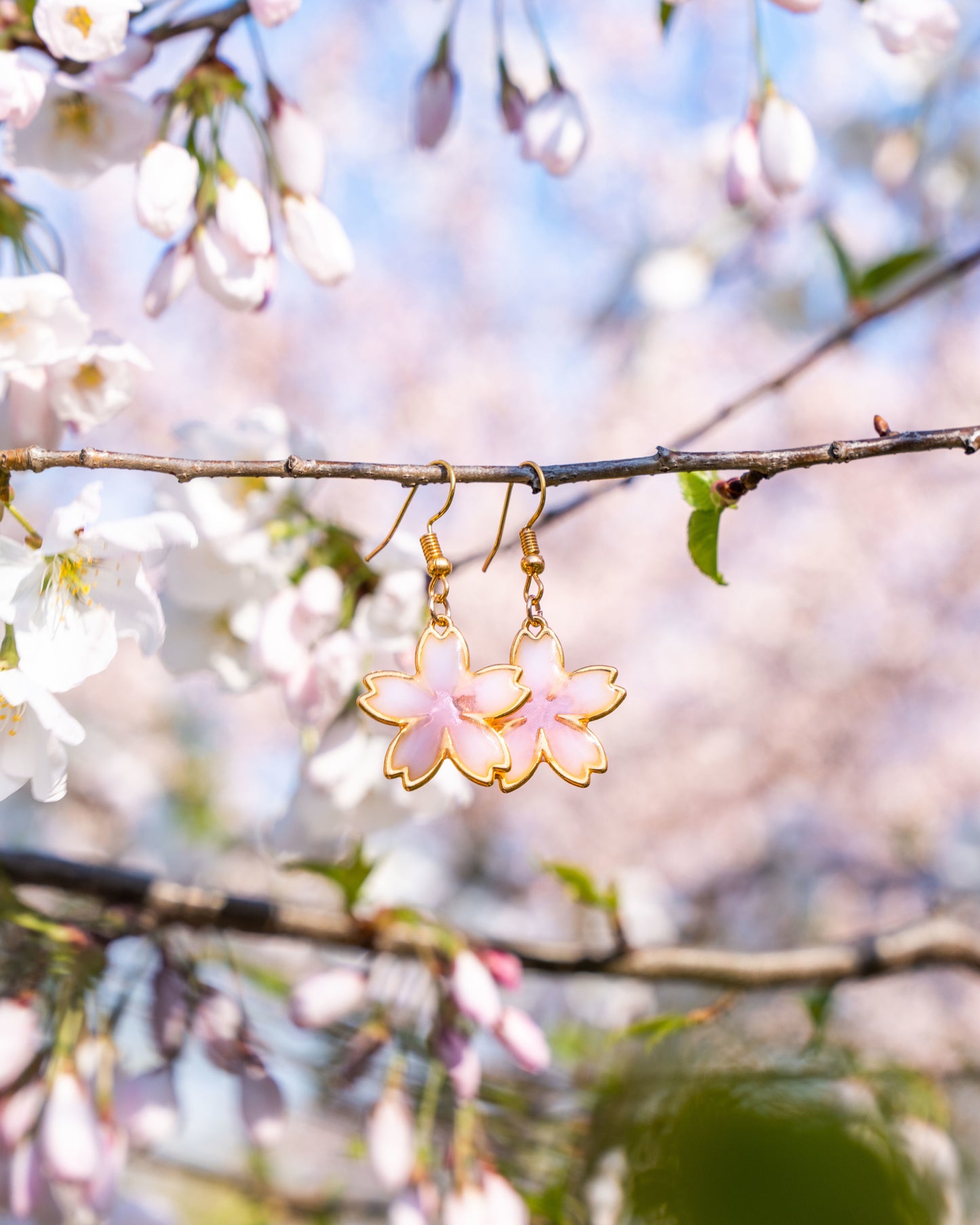 Two-tone Sakura